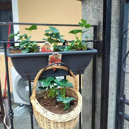 Vakantiehuis Charming House In With Terrace And Bbq